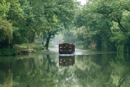 Hangzhou Xixi Wetland Tree-lined Canal Boat Nature View