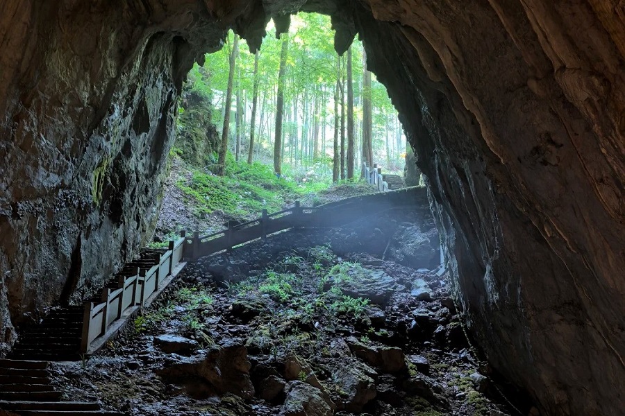 Yaolin National Forest Park The mysterious cave world within Yaling National Forest Park