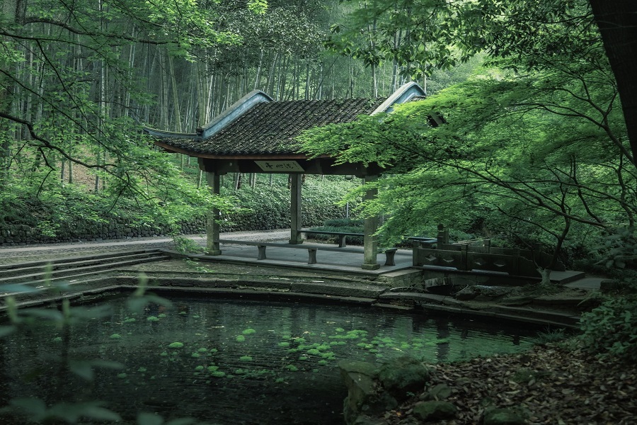 Traditional Chinese pavilion beside quiet pond surrounded by dense green bamboo and foliage, tranquil Yunqi Bamboo Path landscape