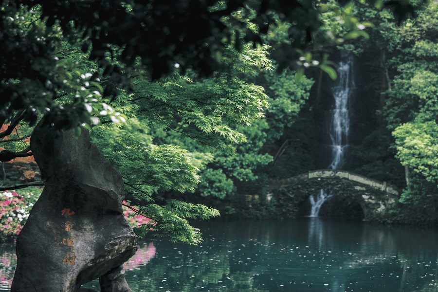 Clear lake, stone arch bridge and hidden waterfall surrounded by dense green maple trees, quiet natural landscape of Nine Creeks in Hangzhou