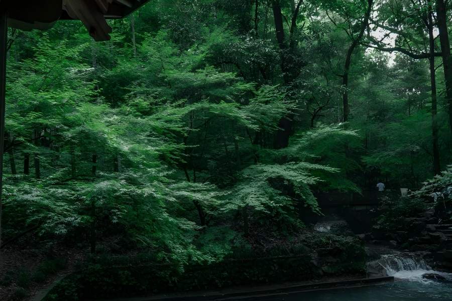 A Bamboo-Lined Path at Yunqi, one of New Ten Scenes of West Lake Hangzhou, featuring boundless tall bamboo groves, ancient bluestone imperial path, murmuring mountain streams and classical pavilions hidden in misty valley