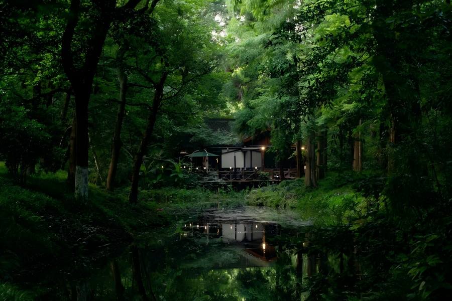 Guo's Villa hidden deep in lush green woods beside West Lake Hangzhou, quiet narrow water channel reflecting wooden waterside pavilion, dense layered ancient trees forming a secluded tranquil forest garden with soft warm lamp light mirrored on still water