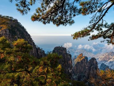 Huangshan landscape framed by pine branches, jagged granite peaks floating above vast sea of clouds under clear blue sky
