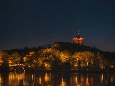 Illuminated Leifeng Pagoda West Lake night