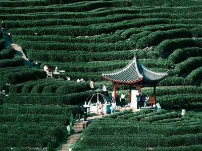 Shifeng Mountain Pavilion and Mountain Road.jpg